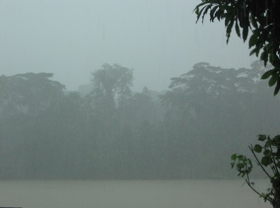 photo raininriver_zps6891005c.jpg