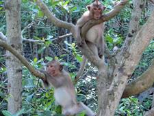 HỌC + LÀM = GIÀU Con Đường Thành Công